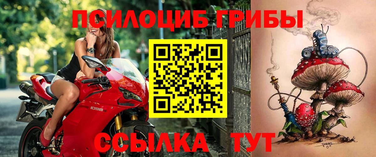 Псилоцибиновые грибы MAGIC MUSHROOMS Вышний Волочёк
