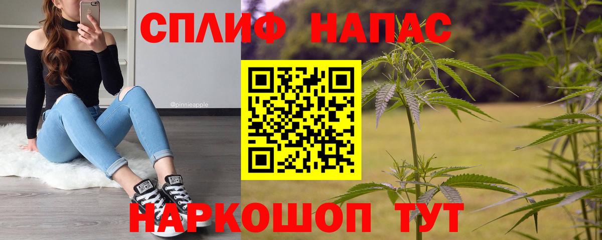 Марихуана Bruce Banner  МАРИХУАНА ГИДРОПОН  Вход с VPN  Бошки марихуана план  Вышний Волочёк 